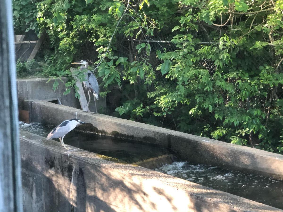 Herring Run Bourne Eksteriør bilde