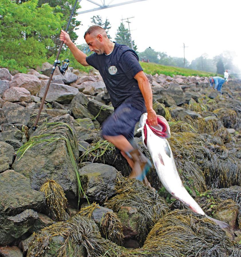 Herring Run Bourne Eksteriør bilde