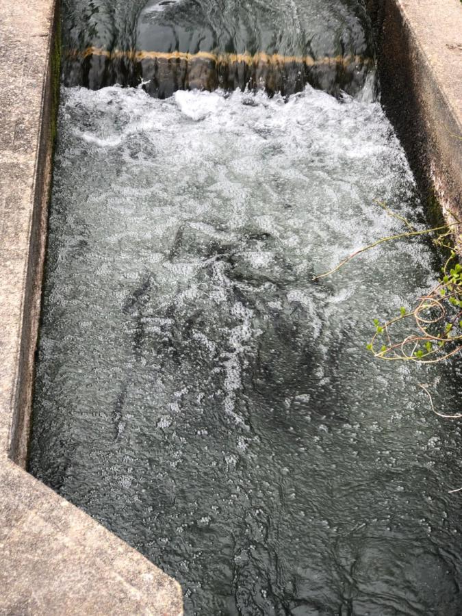 Herring Run Bourne Eksteriør bilde